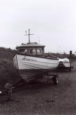 g3/15/398515/3/56198347.nauti1.jpg