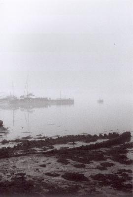 g3/15/398515/3/56255960.decayboat2.jpg