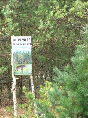 (IMG_7301.jpg)