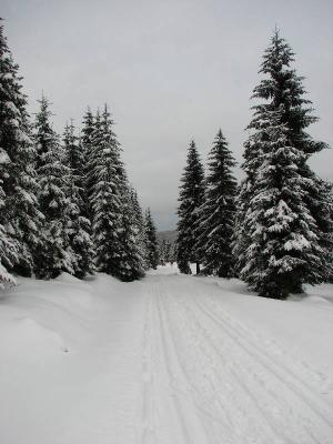 Szlak narciarski w Orlem(IMG_1711.jpg)