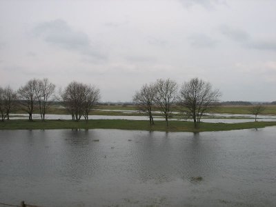 Podtopione łąki przy Białym Grądzie(IMG_6512.jpg)