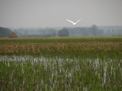 (IMG_6517.jpg)