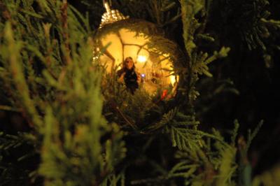 g3/15/426615/3/53356838.ornament.jpg