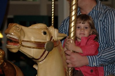 Riding the Carousel Horses