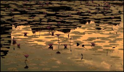 Angkor Wat