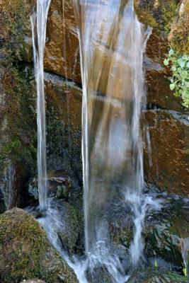 IMG_5423consh.jpg