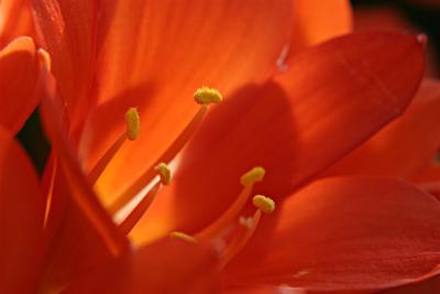 IMG_5523consh2.jpg