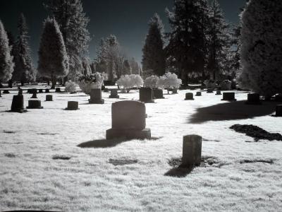 Vancouver Public Cemetary in Infrared