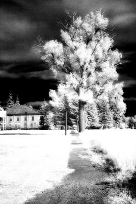 CRW_6169.jpg