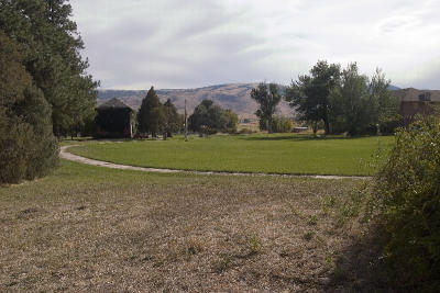 CRW_6198.jpg