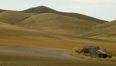 CRW_6211.jpg