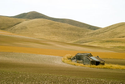CRW_6215.jpg