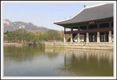 Pond