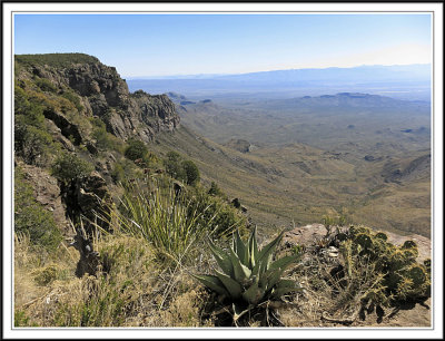 South Rim Vista
