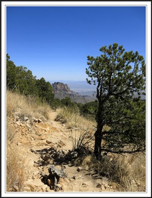 Along South Rim Trail