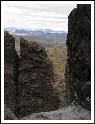 The Window