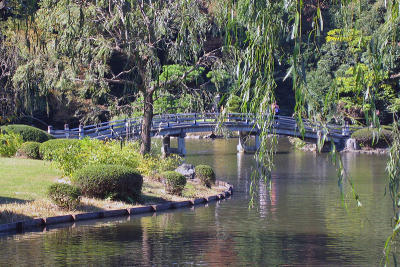 Pond, Bridge, and Willows