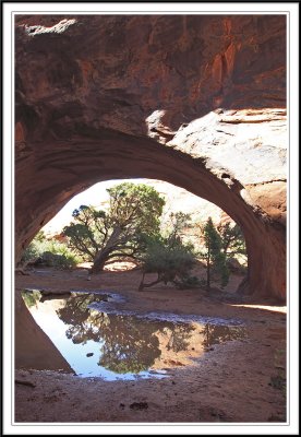 Navajo Arch