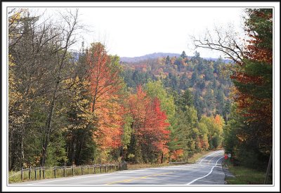 Along SR-28N