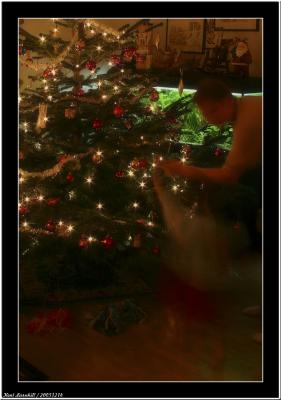 20051214 - Decorate christmas tree -