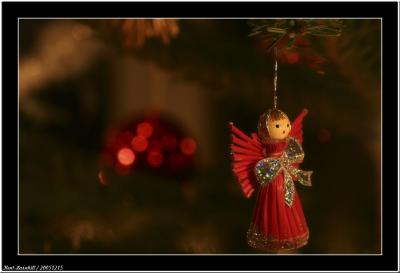 20051215 - Christmas angel -