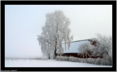 20060307 - Very could morning -