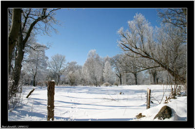 20060312 - More snow -