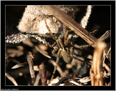 20060329 - Waking up -
