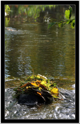 20071026 / Stream