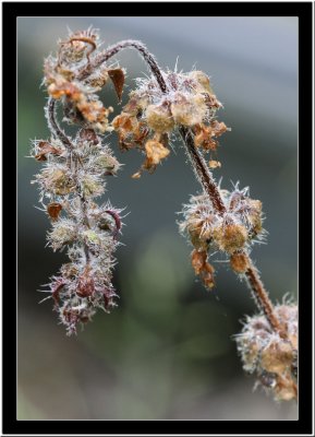 20071027 / Fading away...