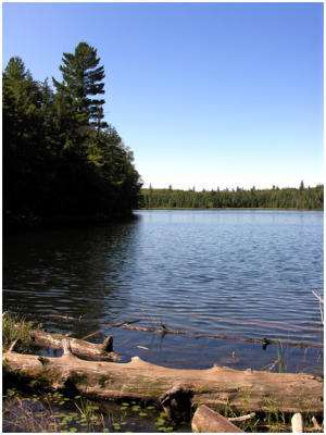 lake1.jpg