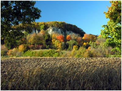 Fall 2005