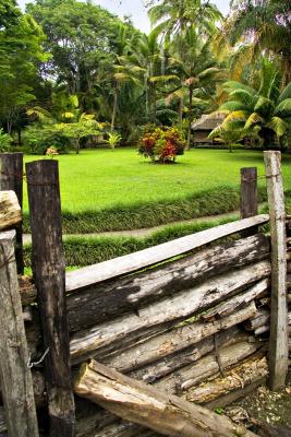 g3/15/527315/3/57038122.FencebonitoatrasBest.jpg