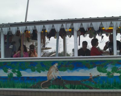 Mardi Gras 14-2009 133.JPG