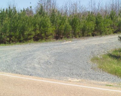 This gravel oil service road was not there when the ambush occured