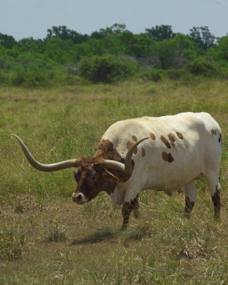 Historically Significant Locations in Texas History