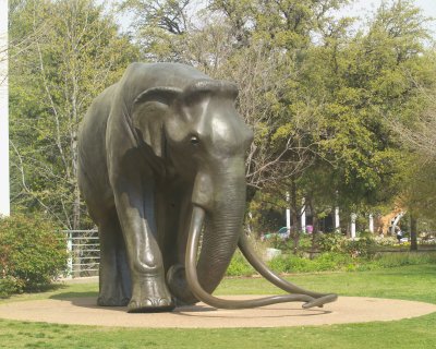 Outside the Museum of Natural History