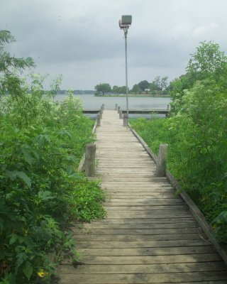 Small Dock that leads into the lake at Pelican Bay