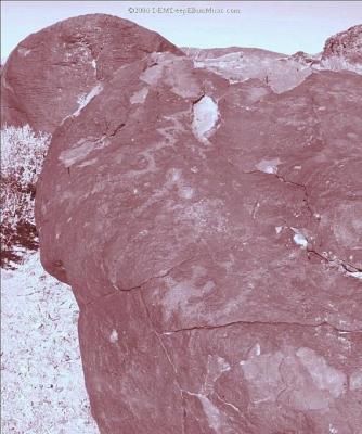 Grimes Point Petroglyph Trail