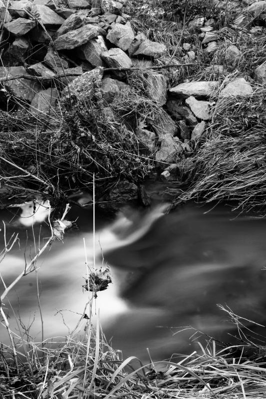 stream 11 Bw