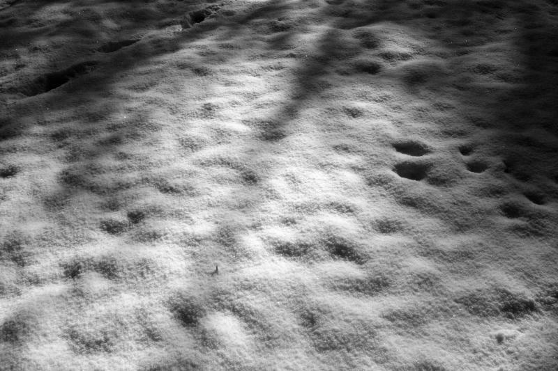 snow1.jpg