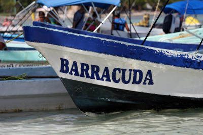 barracudaboat.jpg
