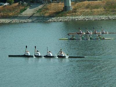 Mannheim Regatta (Glenys)