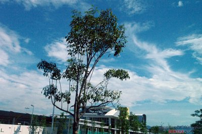 IMGP2148.jpg