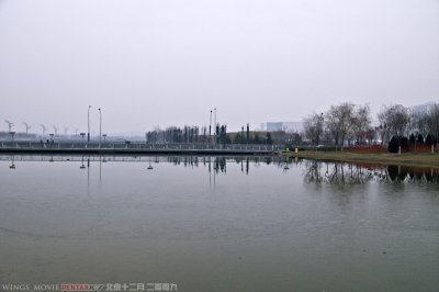 IMGP8087.jpg