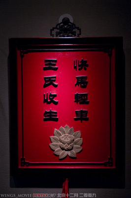 IMGP8192.jpg