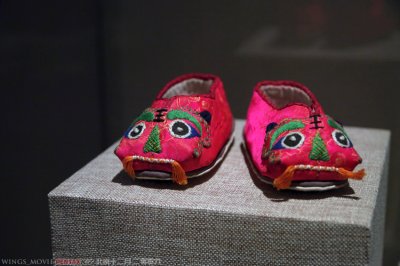 IMGP8194.jpg