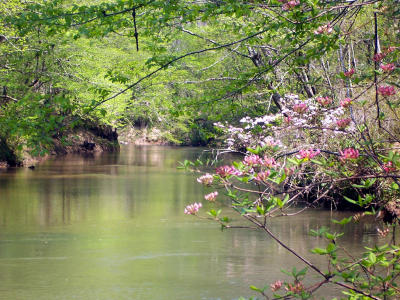 Etowah.jpg