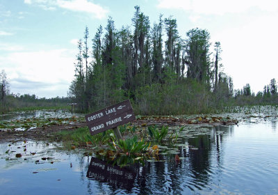 CooterLake.jpg