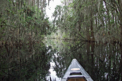 MirrorPond.jpg